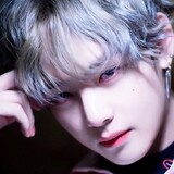 กุลชา เทียนงาม