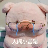 xianshiyuhuanxiangzhijianのmeng