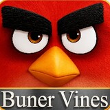 Buner Vines