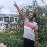 Mshaju