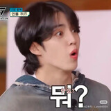 caomeiniunaibaojun
