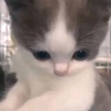 yeojaokmyn-