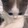 yeojaokmyn-