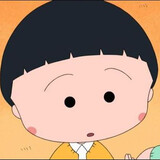 Sheganxin_
