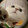 miaomemeleyuan