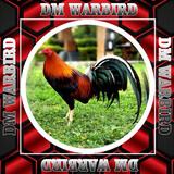 DMWARBIRD