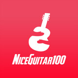 niceguitar100