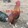 Ronel Rodriguez_9359