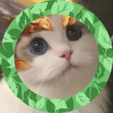 King of anime (âm Frim vietnam hello every one)