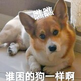 tshuaa