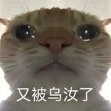 liqinglu-