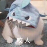 miaomiaoouo