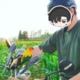 sanshiyingwu