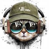 MAD_CAT_87