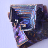 Bounty Breaker