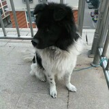 nudter_007