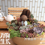 yitiaoxianzhedeyu