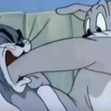 _luocici_