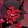 Dom Za_3842