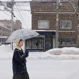 shenshenshenlanhana