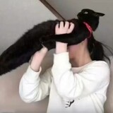 ci_heji