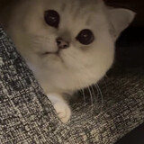 qishiergexiaowan