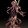 kdlm-