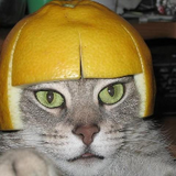 Makowik