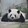 xiariyinghuochonger