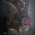 JAN_Videos