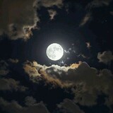 Moon月光