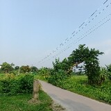 Md Zakir_1078