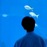 Nazel_bot1