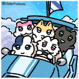 lizipupu_