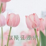 yuetouzaila-boyuyou