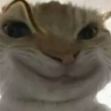 bushiprodeshushu