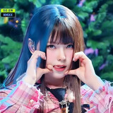 xiaoyangerxiaobaobei