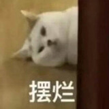 yonghu__27631