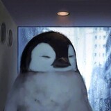 diwurengexunyou