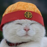 yelaoxiangsheng