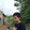 Jimmy Kurniawan_3799