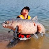 yulexiaoyao-