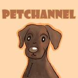 PetChannel