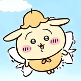 wulaqyq