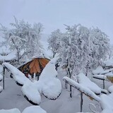 mianchaolengchaomian