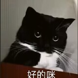 lansizaijiazhong