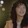 youyugoua