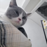 yunanzhicheng