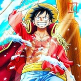 D.luffy10