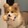 xiaoyerenbucuo